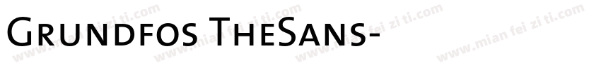 Grundfos TheSans字体转换